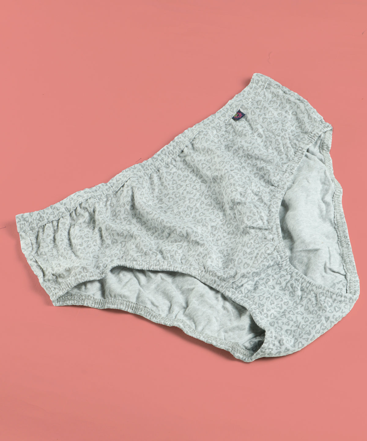 Grey Women  Pure Cotton panty